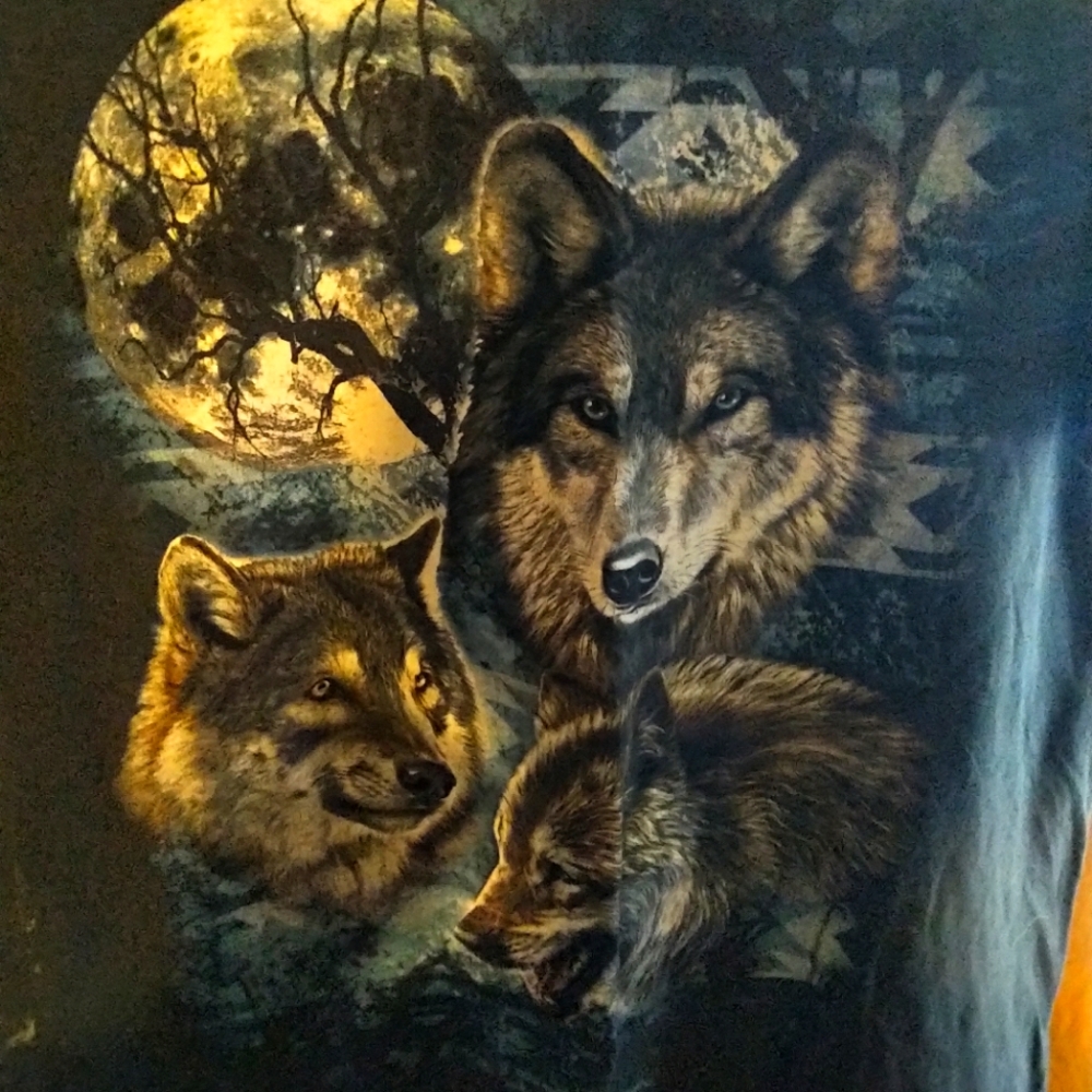Vintage 3 wolf moon shirt